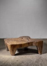 Thumbnail for José Zanine Caldas coffee table