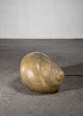 Thumbnail for Sergio Camilli Snail Lamp for Bieffeplast